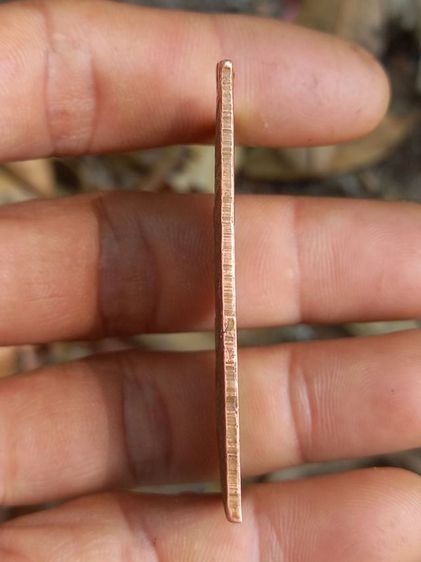 เหรียญหลวงปู่เผือก รุ่นแรก บล็อคนิยม (สิงห์มีเขี้ยว) เนื้อทองแดง วัดสาลีโข จังหวัดนนทบุรี ปี 2510 รูปที่ 3