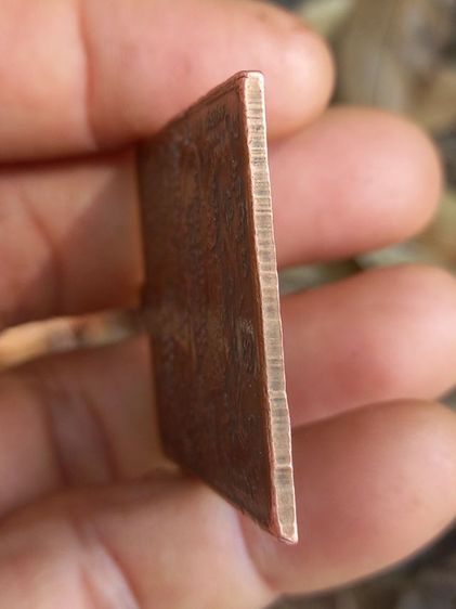 เหรียญหลวงปู่เผือก รุ่นแรก บล็อคนิยม (สิงห์มีเขี้ยว) เนื้อทองแดง วัดสาลีโข จังหวัดนนทบุรี ปี 2510 รูปที่ 6