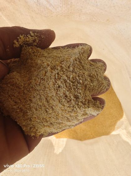 ผิวถั่วเหลือง รูปที่ 2