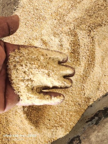 ผิวถั่วเหลือง