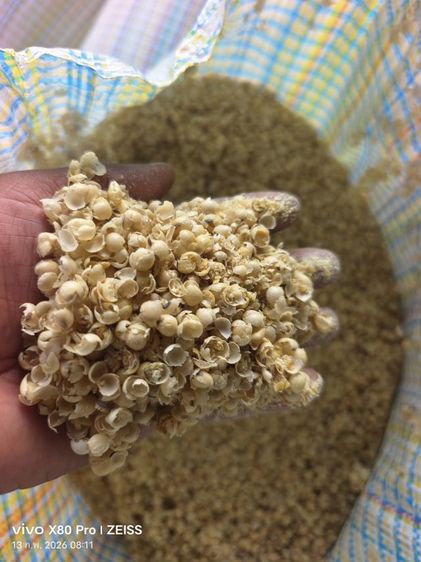 ผิวถั่วเหลือง รูปที่ 5