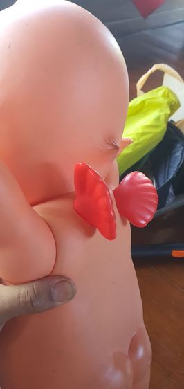 QP ตัวใหญ่  รูปที่ 6