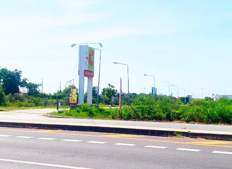 ขายที่ดินทำเลทองเหมาะจัดสรร โกดัง อื่นๆ 16 ไร่ 3 งาน 21 ตรว รูปที่ 4