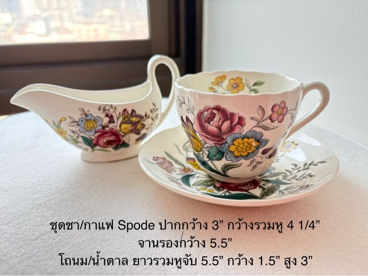 อื่นๆ ชุดชากาแฟ spode