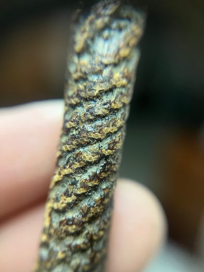 เปิดตะกรุด 5 นิ้วไม่ทราบที่(มีสินค้าหลายรายการกดเข้ามาดูในโปรไฟล์ได้เลย) รูปที่ 5