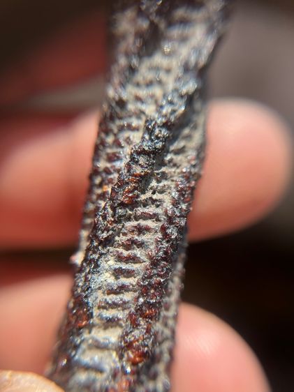 เปิดตะกรุดไม่ทราบที่ยาว 3.8 นิ้ว(มีสินค้าหลายรายการกดเข้ามาดูในโปรไฟล์ได้เลยครับ)