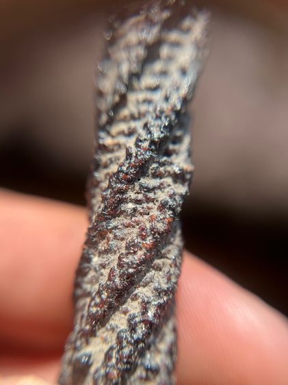 เปิดตะกรุดไม่ทราบที่ยาว 3.8 นิ้ว(มีสินค้าหลายรายการกดเข้ามาดูในโปรไฟล์ได้เลยครับ) รูปที่ 5