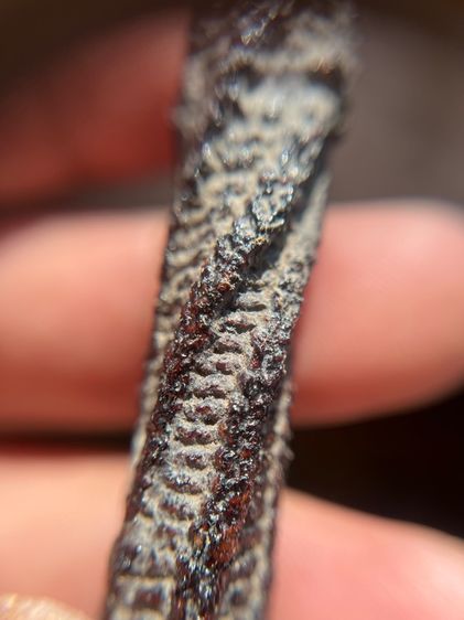 เปิดตะกรุดไม่ทราบที่ยาว 3.8 นิ้ว(มีสินค้าหลายรายการกดเข้ามาดูในโปรไฟล์ได้เลยครับ) รูปที่ 6