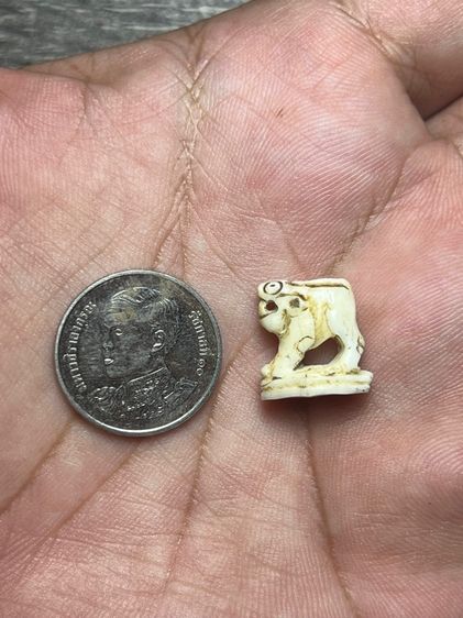 เปิดเสือ รูปที่ 7