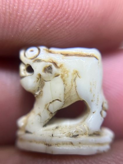 เปิดเสือ