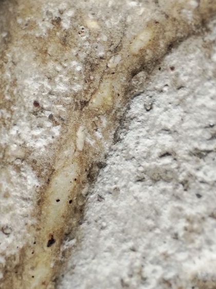 ❌ปิดครับ❌พระสมเด็จเนื้อซึ้งๆตุ๊บตั๊ปเลยครับ รูปที่ 7