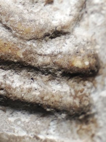 ❌ปิดครับ❌พระสมเด็จเนื้อซึ้งๆตุ๊บตั๊ปเลยครับ รูปที่ 12