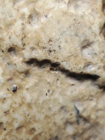 พระสมเด็จเนื้อจัดจ้านผ่านการใช้ครับ รูปที่ 5