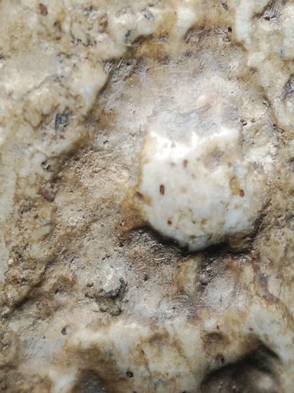 พระสมเด็จเนื้อจัดจ้านผ่านการใช้ครับ รูปที่ 4