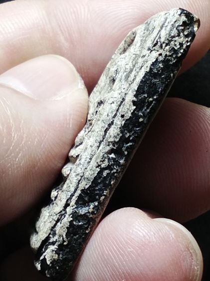 ❌ปิดครับ❌พระสมเด็จมีลงรักครับ รูปที่ 8