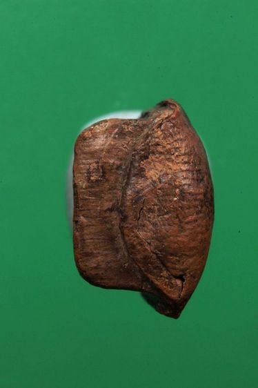 พระกรุค่ะ รูปที่ 5