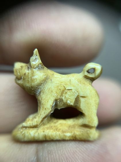 เครื่องรางปีนักษัตรปีกุนไม่ทราบที่(มีสินค้าหลายรายการกดเข้ามาดูในโปรไฟล์ได้เลยครับ)