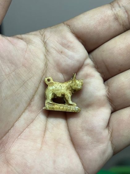 เครื่องรางปีนักษัตรปีกุนไม่ทราบที่(มีสินค้าหลายรายการกดเข้ามาดูในโปรไฟล์ได้เลยครับ) รูปที่ 8