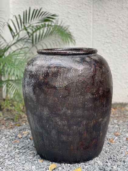 โอ่งเสี้ยนตาลเก่าโบราณ รูปที่ 3