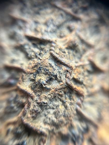 ตะกรุดไม้ครูดอกใหญ่ไม่ทราบที่(มีสินค้าหลายรายการกดเข้ามาดูในโปรไฟล์ได้เลยครับ) รูปที่ 8