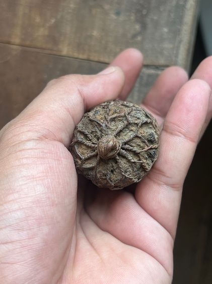 ตะกรุดไม้ครูดอกใหญ่ไม่ทราบที่(มีสินค้าหลายรายการกดเข้ามาดูในโปรไฟล์ได้เลยครับ) รูปที่ 4