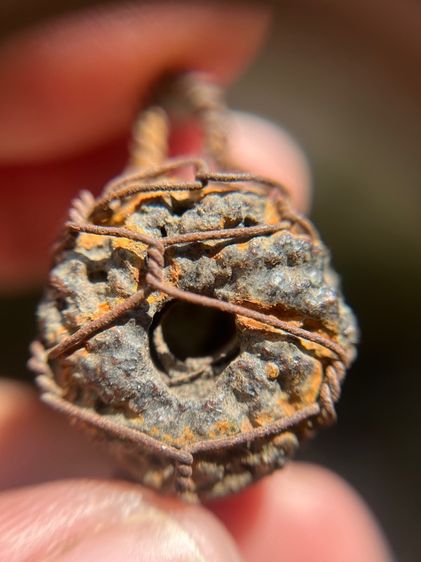 พิสมรใบลานบังปืนเลี่ยมลวดเก่า (มีสินค้าหลายรายการกดเข้ามาดูในโปรไฟล์ได้เลยครับ)