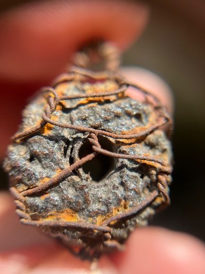 พิสมรใบลานบังปืนเลี่ยมลวดเก่า (มีสินค้าหลายรายการกดเข้ามาดูในโปรไฟล์ได้เลยครับ) รูปที่ 7