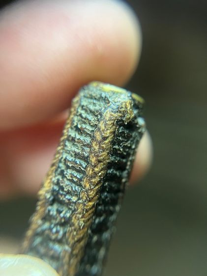 เปิดตะกรุดลูกปืนไม่ทราบที่(มีสินค้าหลายรายการกดเข้ามาดูในโปรไฟล์ได้เลยครับ) รูปที่ 4