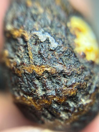 เปิดเบี้ยแก้ไม่ทราบที่ปรอทวิ่ง(มีสินค้าหลายรายการกดเข้ามาดูในโปรไฟล์ได้เลย) รูปที่ 10