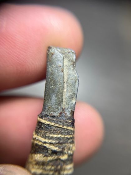 เปิดตะกรุดไม่ทราบที่ยาว 1.8 นิ้ว (มีสินค้าหลายรายการกดเข้ามาดูในโปรไฟล์ได้เลยครับ) รูปที่ 8