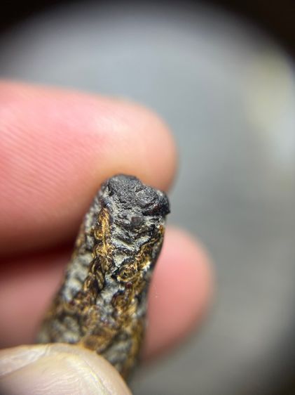 เปิดตะกรุดลูกปืนลายจระเข้ขบฟันไม่ทราบที่(มีสินค้าหลายรายการกดเข้ามาดูในโปรไฟล์ได้เลยครับ) รูปที่ 4