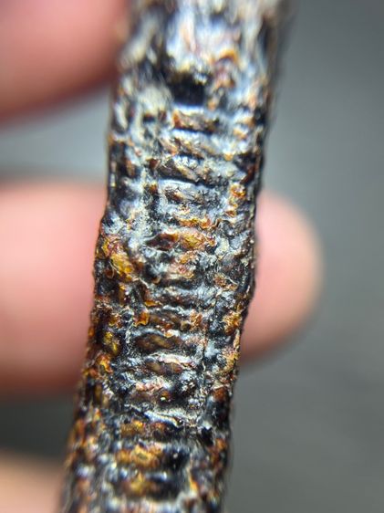 เปิดตะกรุดสี่เสายาว 4.6 นิ้วไม่ทราบที่(มีสินค้าหลายรายการกดเข้ามาดูในโปรไฟล์ได้เลยครับ) รูปที่ 6