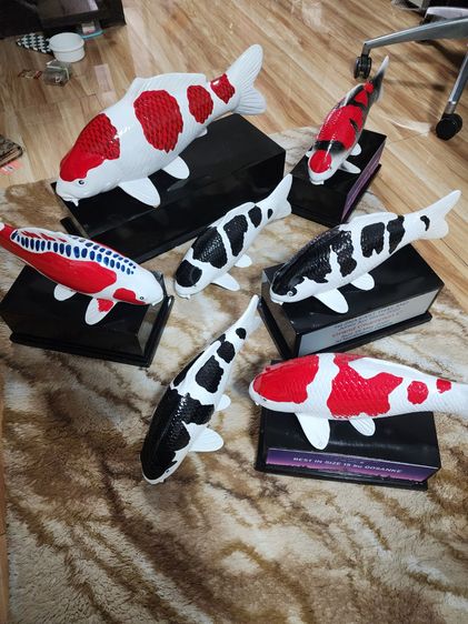 โมเดลปลาคาร์ฟ งานอคีลิค ตัวใหญ่