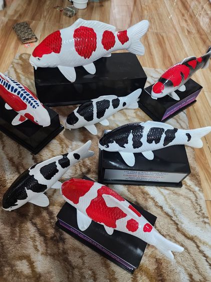 โมเดลปลาคาร์ฟ งานอคีลิค ตัวใหญ่ รูปที่ 4