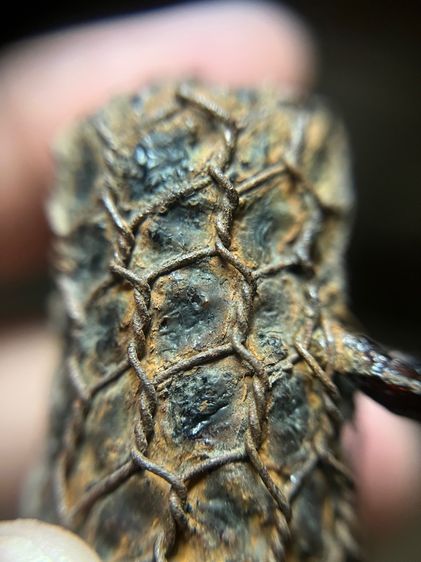 ตะกรุดไม้ครูมันมันถักลวดไม่ทราบที่(มีสินค้าหลายรายการกดเข้ามาดูในโปรไฟล์ได้เลยครับ) รูปที่ 11