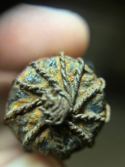 ตะกรุดไม้ครูมันมันถักลวดไม่ทราบที่(มีสินค้าหลายรายการกดเข้ามาดูในโปรไฟล์ได้เลยครับ) รูปที่ 12