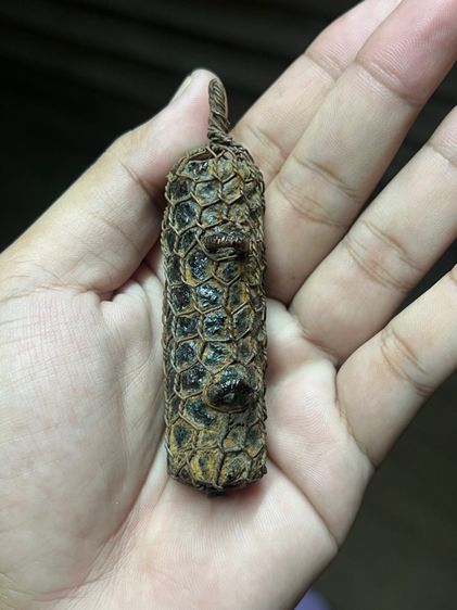 ตะกรุดไม้ครูมันมันถักลวดไม่ทราบที่(มีสินค้าหลายรายการกดเข้ามาดูในโปรไฟล์ได้เลยครับ) รูปที่ 4