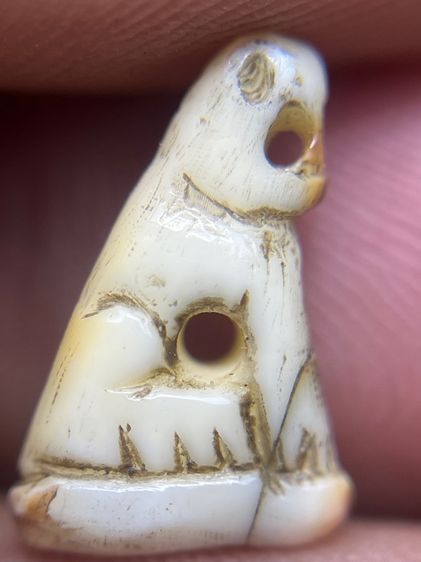 เปิดเสือ(มีสินค้าหลายรายการกดเข้ามาดูในโปรไฟล์ได้เลยครับ) รูปที่ 2