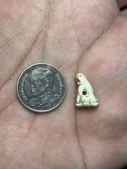 เปิดเสือ(มีสินค้าหลายรายการกดเข้ามาดูในโปรไฟล์ได้เลยครับ) รูปที่ 6