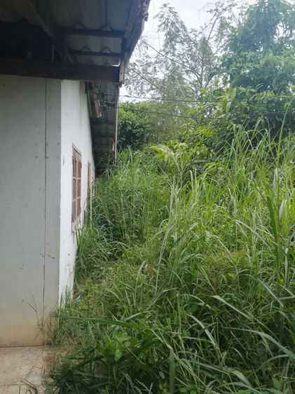 มีบางส่วน ใช่ ขายบ้านด่วน รูปที่ 4