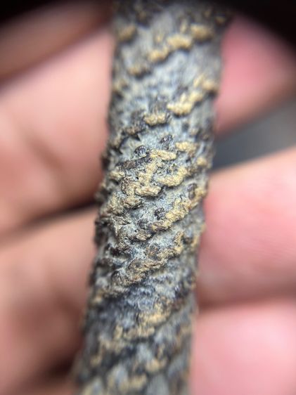 เปิดตะกรุดตะกั่วยาว 3.5 นิ้วไม่ทราบที่(มีสินค้าหลายรายการกดเข้ามาดูในโปรไฟล์ได้เลยครับ) รูปที่ 6