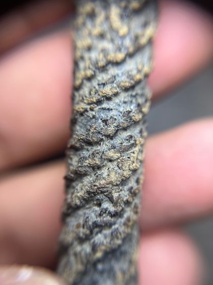 เปิดตะกรุดตะกั่วยาว 3.5 นิ้วไม่ทราบที่(มีสินค้าหลายรายการกดเข้ามาดูในโปรไฟล์ได้เลยครับ) รูปที่ 5