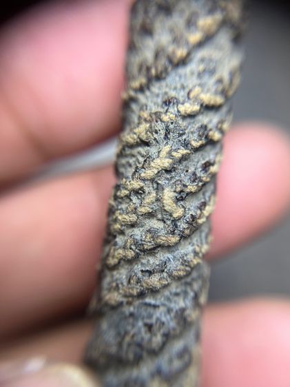 เปิดตะกรุดตะกั่วยาว 3.5 นิ้วไม่ทราบที่(มีสินค้าหลายรายการกดเข้ามาดูในโปรไฟล์ได้เลยครับ) รูปที่ 4