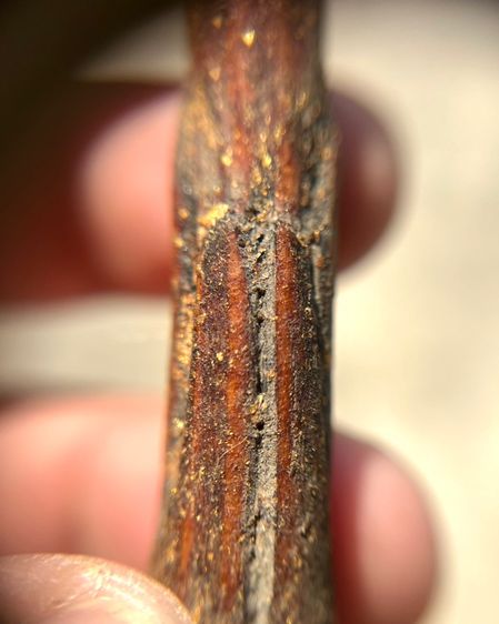 ปลัดขิดนางควรไม้แกะลงรักปิดทองไม่ทราบที่(มีสินค้าหลายรายการกดเข้ามาดูในโปรไฟล์ได้เลยครับ) รูปที่ 9