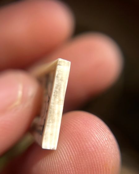 สิงห์กรอบกระจก (มีสินค้าหลายรายการกดเข้ามาดูในโปรไฟล์ได้เลยครับ รูปที่ 5