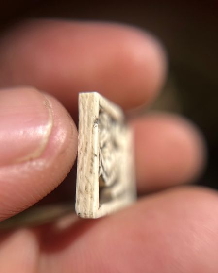 สิงห์กรอบกระจก (มีสินค้าหลายรายการกดเข้ามาดูในโปรไฟล์ได้เลยครับ รูปที่ 3