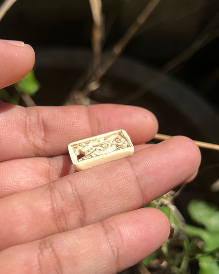 สิงห์กรอบกระจก (มีสินค้าหลายรายการกดเข้ามาดูในโปรไฟล์ได้เลยครับ) รูปที่ 3