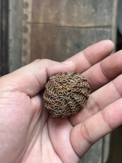 เครื่องรางถักลวดลึกลับไม่รู้ด้านในเป็นอะไร ไม่รู้ที่(มีสินค้าหลายรายการกดเข้ามาดูในโปรไฟล์ได้เลยครับ) รูปที่ 4