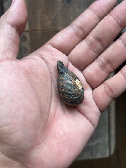 เบี้ยแก้ไม่ทราบที่ปรอทวิ่ง (มีสินค้าหลายรายการกดเข้ามาดูในโปรไฟล์ได้เลยครับ) รูปที่ 2