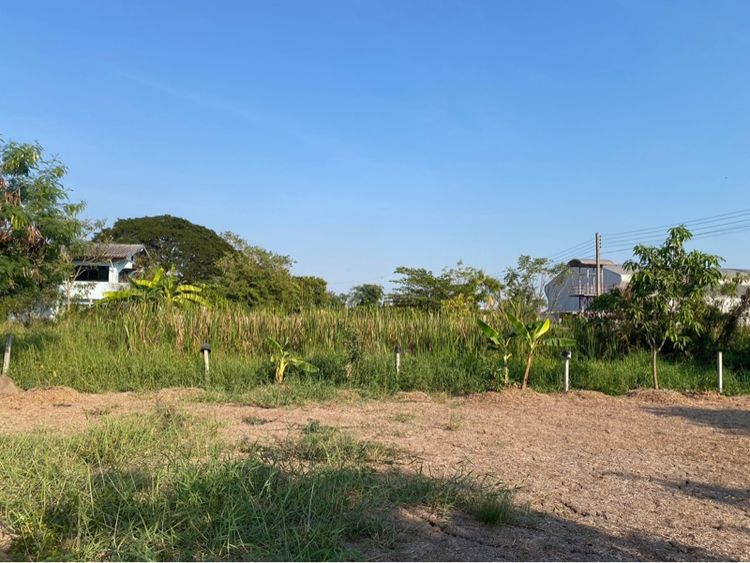 ใช่ ขายที่ดิน100 ตรว รูปที่ 3